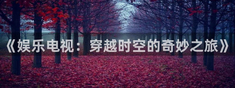 太阳成集团tyc9728：《娱乐电视：穿越时空的奇妙之旅》