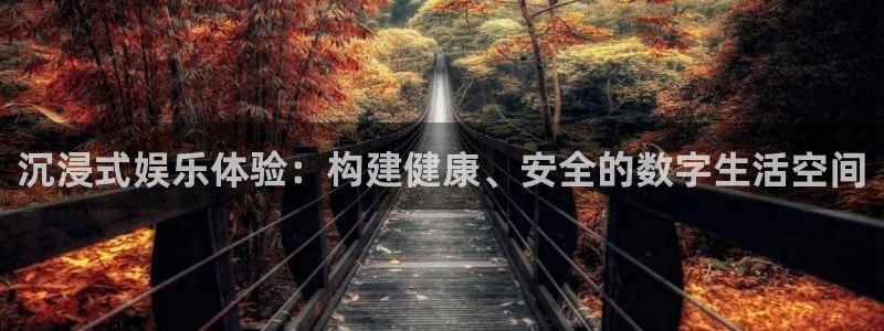 太阳成集团tyc9728：沉浸式娱乐体验：构建健康、安全的数字生活空间