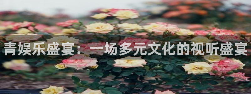 太阳成集团tyc9728：青娱乐盛宴：一场多元文化的视听盛宴