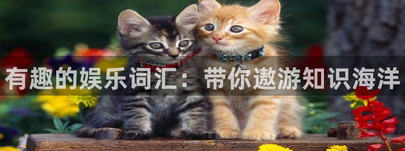 太阳成集团tyc9728：有趣的娱乐词汇：带你遨游知识海洋