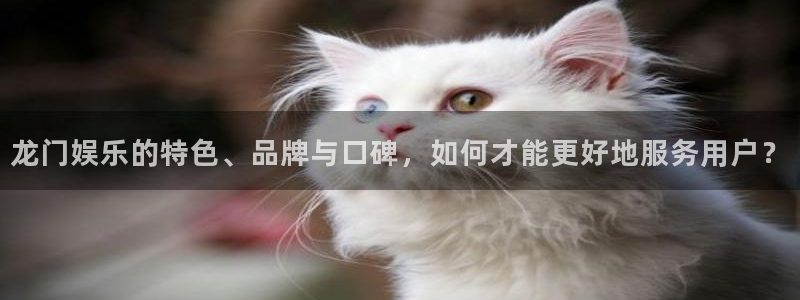 太阳成集团tyc9728：龙门娱乐的特色、品牌与口碑，如何才能更好地服务用户？
