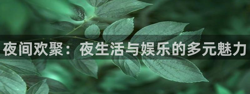 太阳成集团tyc9728：夜间欢聚：夜生活与娱乐的多元魅力
