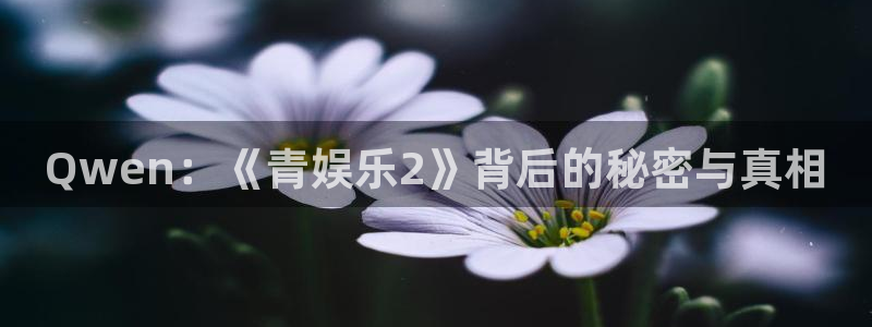 太阳成集团tyc9728：Qwen：《青娱乐2》背后的秘密与真相