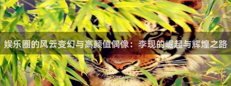 太阳成集团tyc9728：娱乐圈的风云变幻与高颜值偶像：李现的崛起与辉煌之路